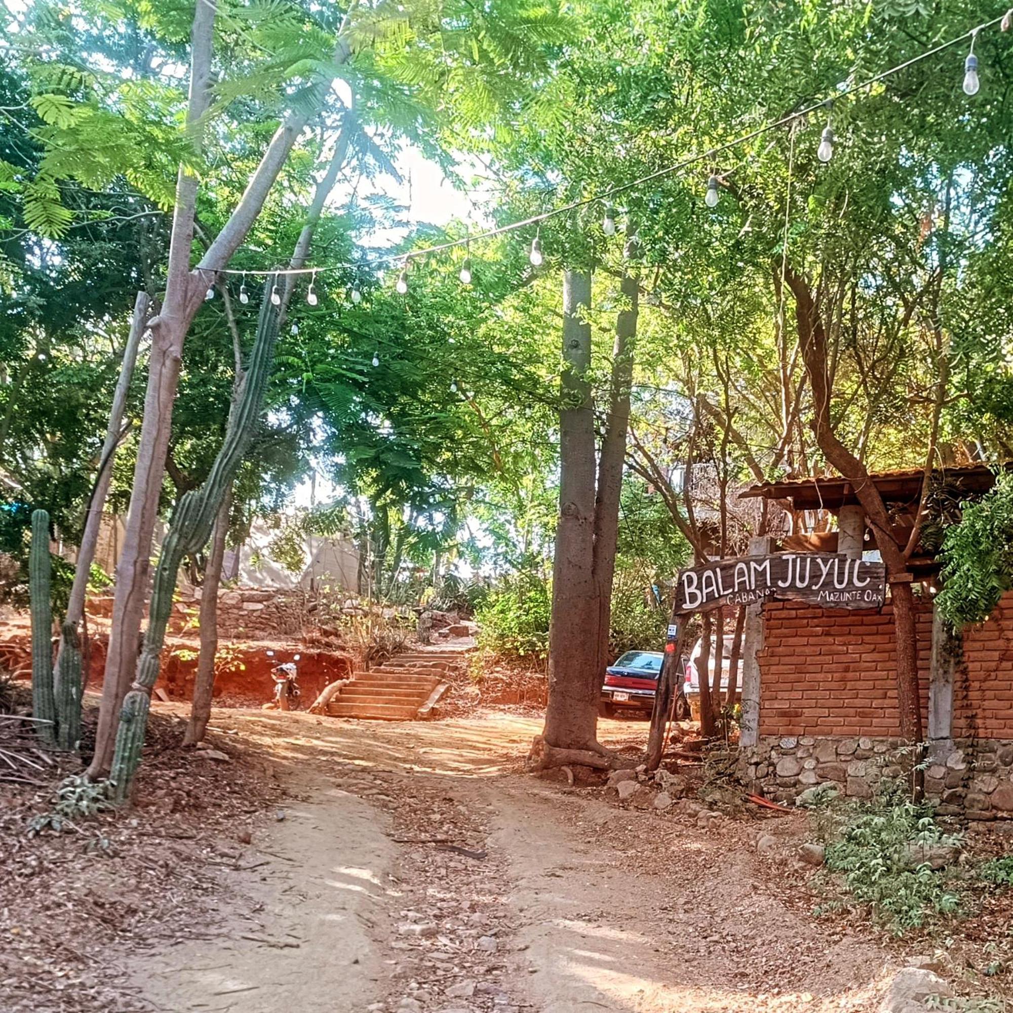 Balamjuyuc Cabanas Y Ecohostel Santa María Tonameca エクステリア 写真