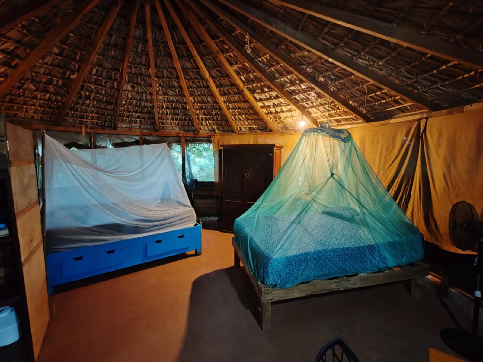 Balamjuyuc Cabanas Y Ecohostel Santa María Tonameca エクステリア 写真