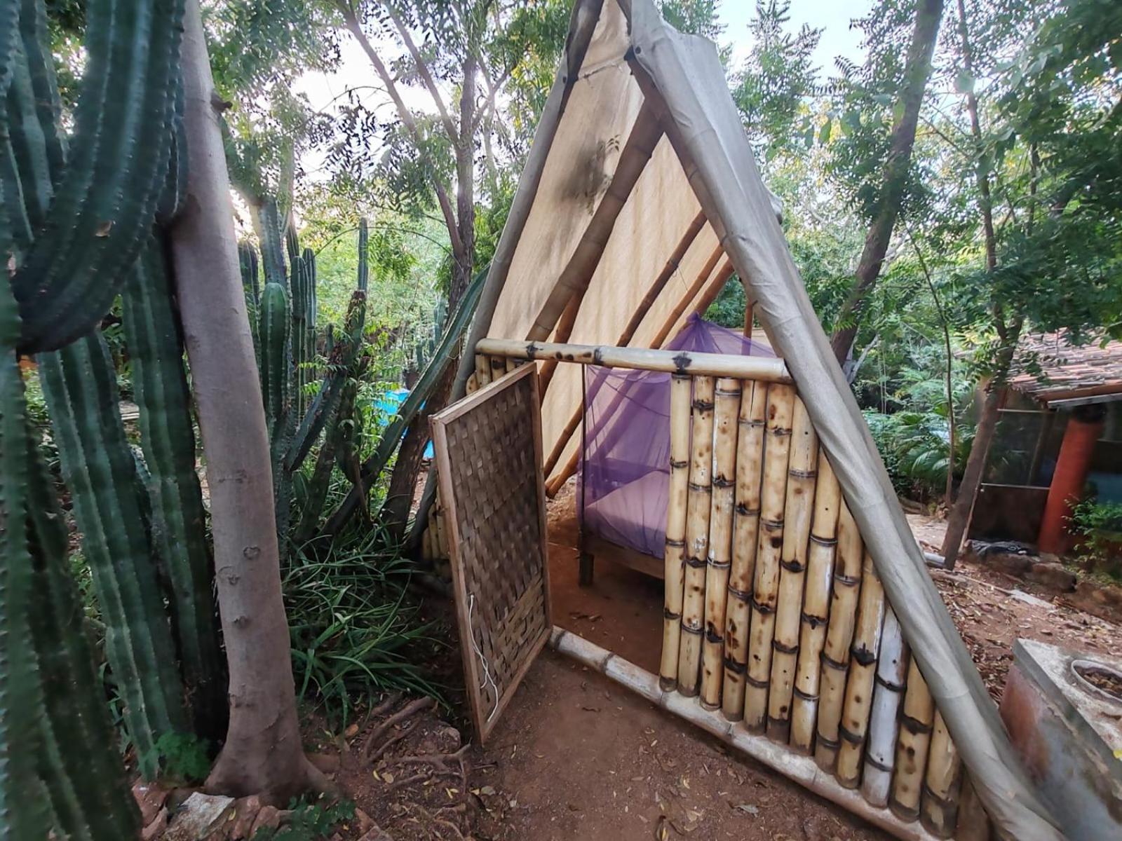 Balamjuyuc Cabanas Y Ecohostel Santa María Tonameca エクステリア 写真